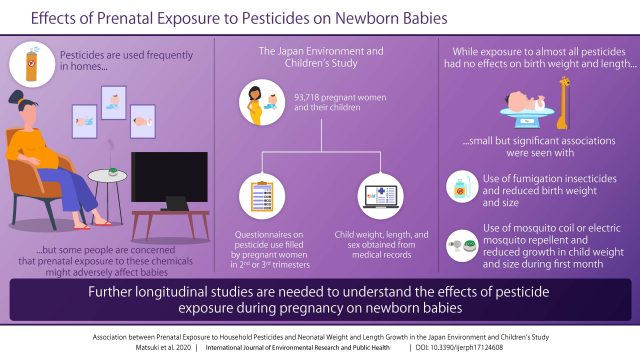 妊娠中の殺虫剤・防虫剤の利用：生まれてくる子どもの身長・体重発育への影響は？